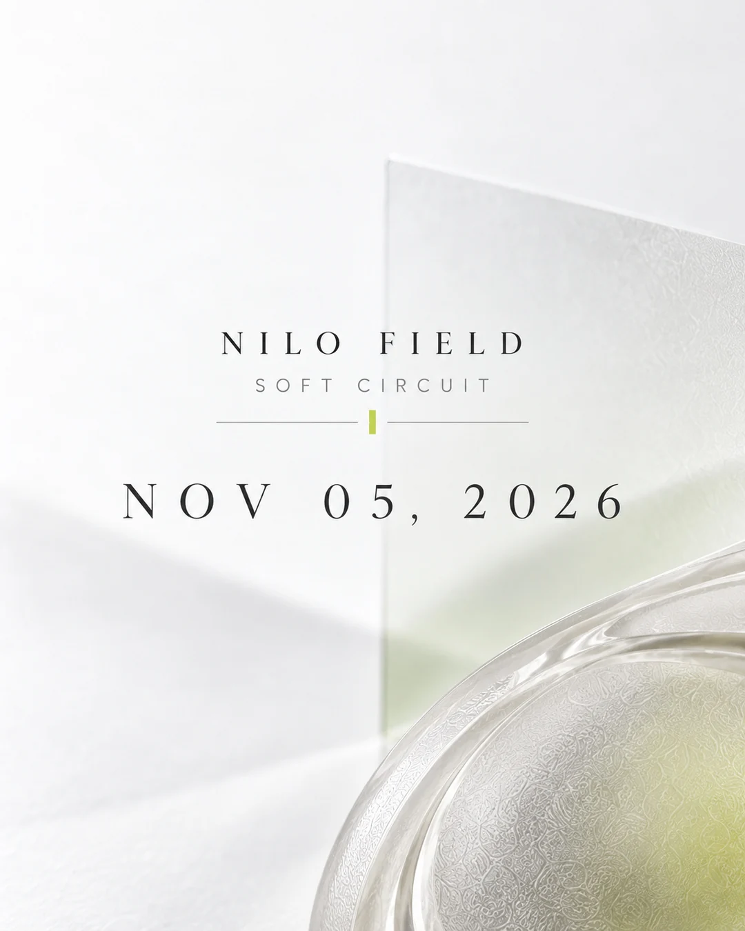 NILO FIELD SNS 피드 3